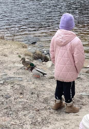 Etter grilling ble det tur til Fiskåvann. Der møtte vi et andepar.